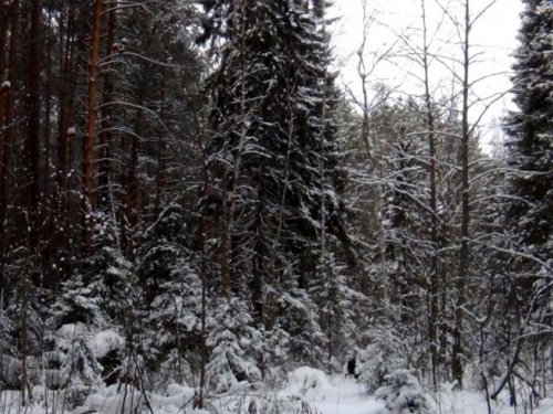 Душа,-тебя не обмануть.