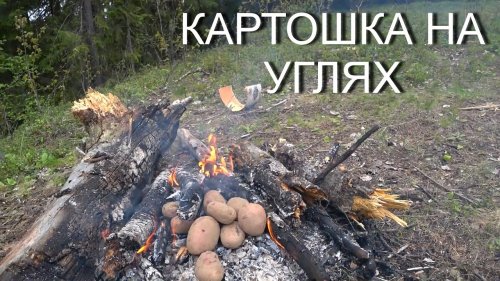 НА ПРИРОДУ НА МОТОБЛОКЕ! ПЕЧЁМ КАРТОШКУ НА КОСТРЕ!