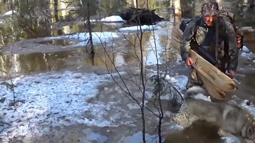 Охота на гуся-2019. Половодье... Еле выбрались с избы