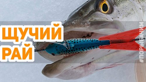 Июль? Жара? Давайте окунемся в прохладный февраль и зимнюю рыбалку! Ловим щуку на балансиры.
