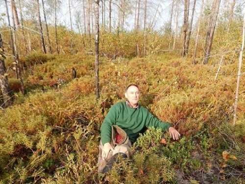 Осень плачет дождём.