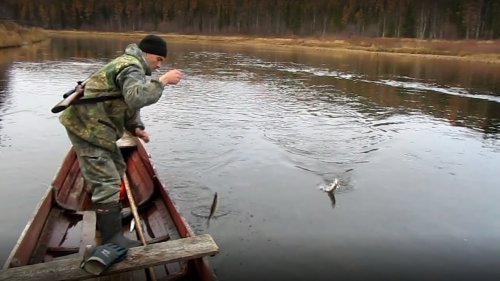 ДИКИЙ ЖОР ХАРИУСА! РЫБАЛКА НА КОРАБЛИК ПОЗДНЕЙ ОСЕНЬЮ! ЗАГОТОВКА РЫБЫ В ПРОК!