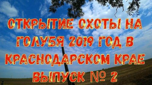 Открытие охоты на голубя 2019 год в Краснодарском крае выпуск № 2