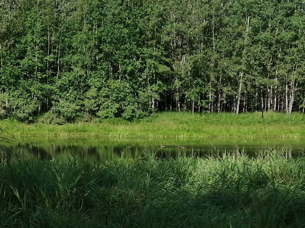 Они ещё не в курсе что Открытие завтра!!!