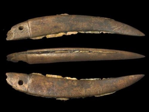 Современным охотничьим ножам оказалось более 10 тысяч лет