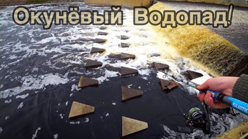 ОКУНЁВЫЙ ВОДОПАД/РЫБАЛКА НА ПОПЛАВОК/ВЕДРО РЫБЫ/50 ЧЕРВЕЙ И 50 ОКУНЁЙ!!!