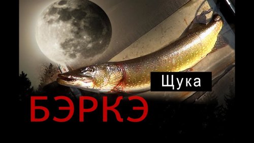 БЭРКЭ. Рыбалка в Якутии.