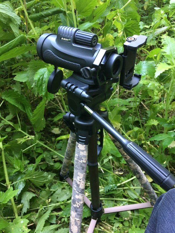 какая дробь на сурка. Смотреть фото какая дробь на сурка. Смотреть картинку какая дробь на сурка. Картинка про какая дробь на сурка. Фото какая дробь на сурка какая дробь на сурка. Смотреть фото какая дробь на сурка. Смотреть картинку какая дробь на сурка. Картинка про какая дробь на сурка. Фото какая дробь на сурка