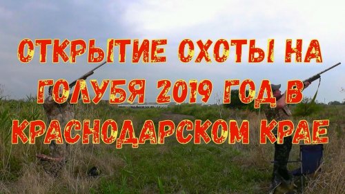 Открытие охоты на голубя 2019 год в Краснодарском крае