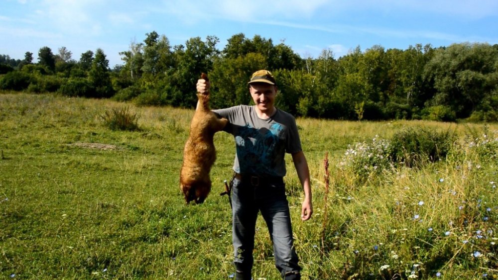 какая дробь на сурка. Смотреть фото какая дробь на сурка. Смотреть картинку какая дробь на сурка. Картинка про какая дробь на сурка. Фото какая дробь на сурка какая дробь на сурка. Смотреть фото какая дробь на сурка. Смотреть картинку какая дробь на сурка. Картинка про какая дробь на сурка. Фото какая дробь на сурка