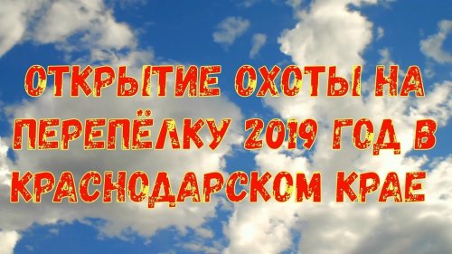 Открытие охота на перепёлку 2019 год в Краснодарском крае