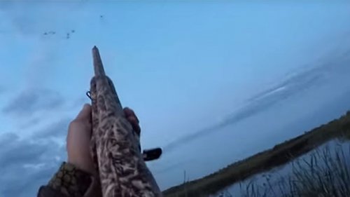 видео новое об охоте