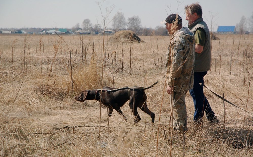 Снимаем гоньбу