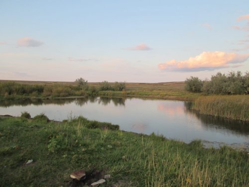 Перышко... для удачливых охотниц и стабильных охотников)))