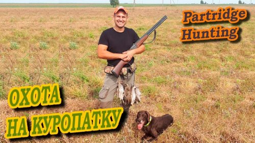 #Охота #Куропатка #Partridge Охота на куропатку открытие. Partridge hunting in Belarus. Rebhuhnjagd