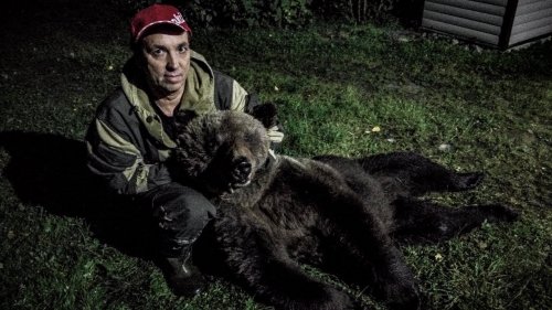 Охота на медведя #1: Медведь зашёл в деревню