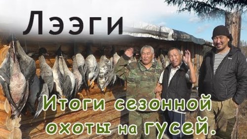 Итоги сезонной охоты на гусей.