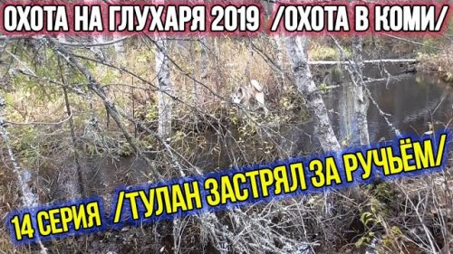 Охота на глухаря 2019 ?? Охота в Коми. 14 серия.