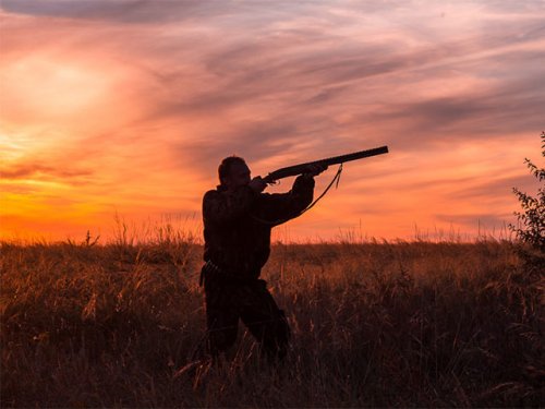 Двое охотников из Новосибирской области пропали без вести почти неделю назад