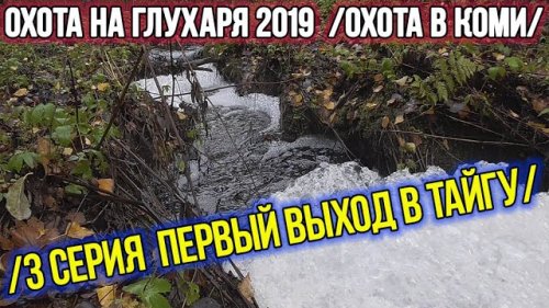 Охота на глухаря 2019 ?? Охота в Коми. 3 серия.