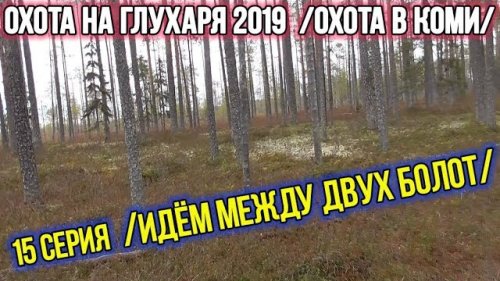Охота на глухаря 2019 ?? Охота в Коми. 15 серия.