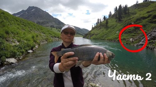 Поход на Озеро Тальмень 2 часть  Хариус Горного Алтая