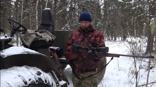 Охота в густом лесу. Тайга Коми Республики