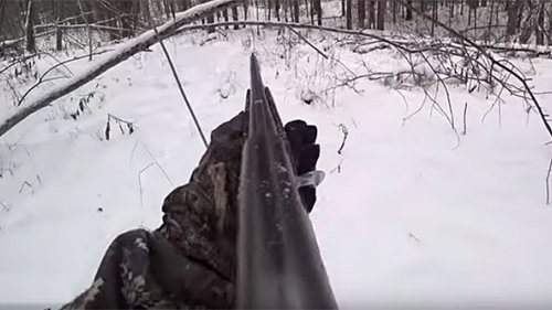 Лучшая в YouTube подборка выстрелов по зайцу