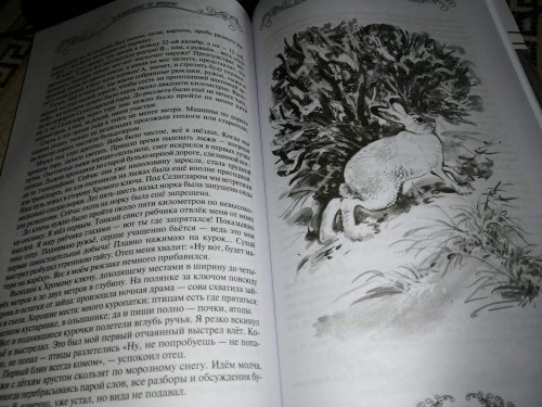 Беляк, вышедший в свет.