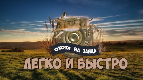 Охота на зайца. Легко и быстро