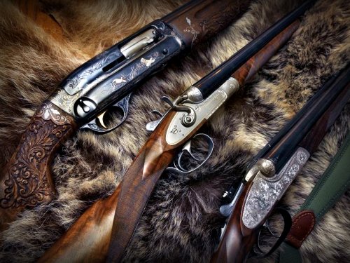 Охотничьи ружья предложено сдавать в аренду