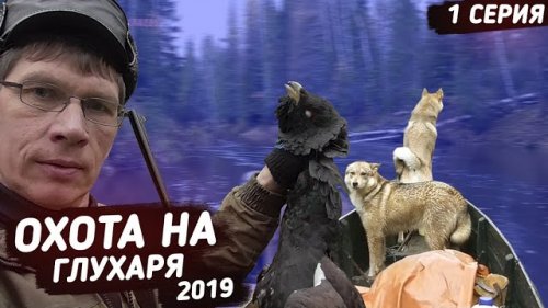 Охота на глухаря 2019 ?? Охота в Коми. 1 серия.