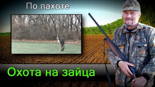 Охота на зайца. Hunting for hares