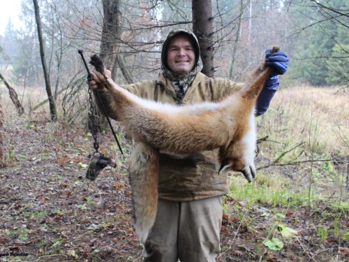 Ловля лисицы капканами по чернотропу