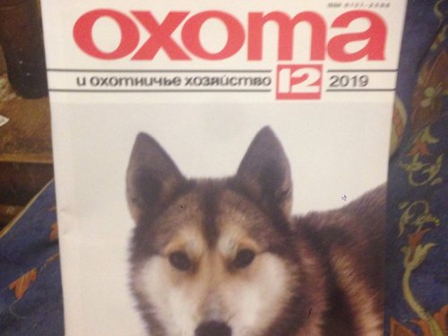 Бригада