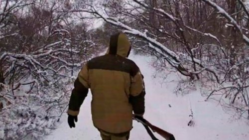Охота на зайца - русака!