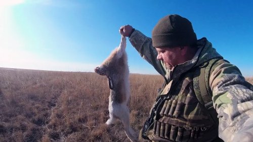 Открытие охоты на зайца. МИНЗДРАВ предупреждает...