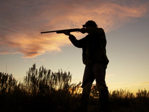 Госдума приняла закон об особенностях вольерной охоты