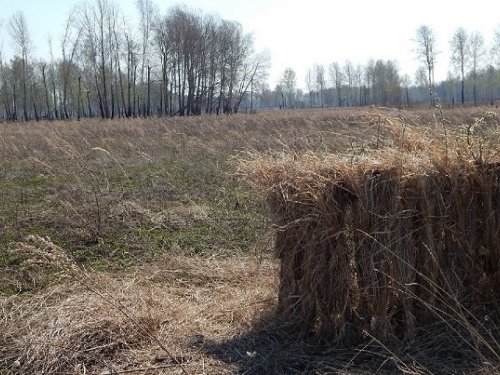 Минуты сопричастья