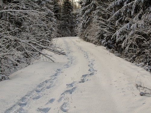 Вечер.