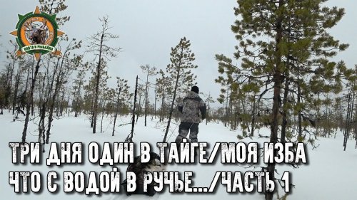 Три дня один в тайге/Моя изба/Что случилось с водой в ручье