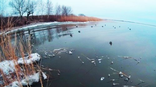 Охота на утку в ноябре. Когда звенят "бубенцы".