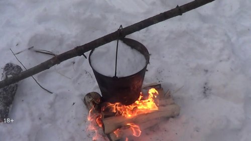 Таежный промысел Лоси ходят у избы  Таежный быт, охота.  Часть l
