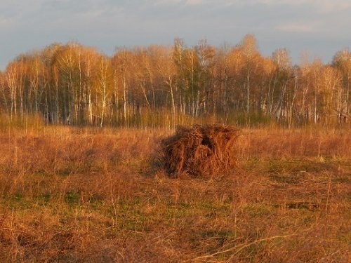 Над горизонтом нет ещё зари