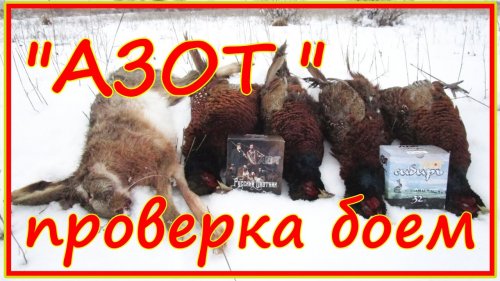 Тестирование патронов