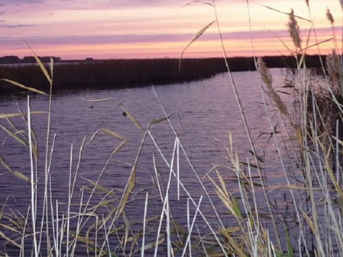 Охотничий тупик