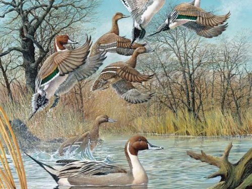 Охотничьи страсти.