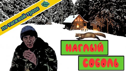 Охота на этого соболя сведет меня с ума. Зимняя рыбалка, проверка рыбацкой сети