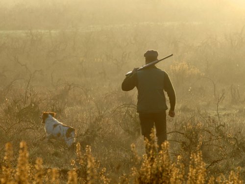 В Новосибирской области запретили весеннюю охоту