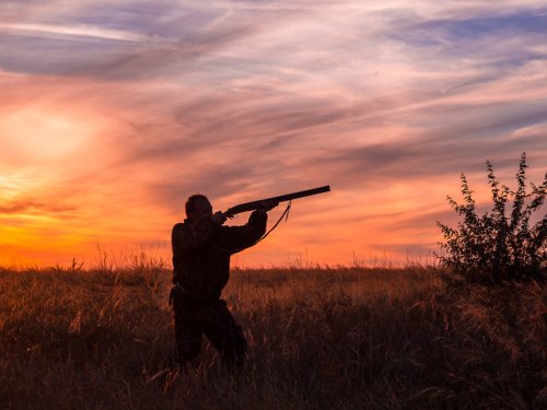 В Якутии решат, будет ли запрещена весенняя охота